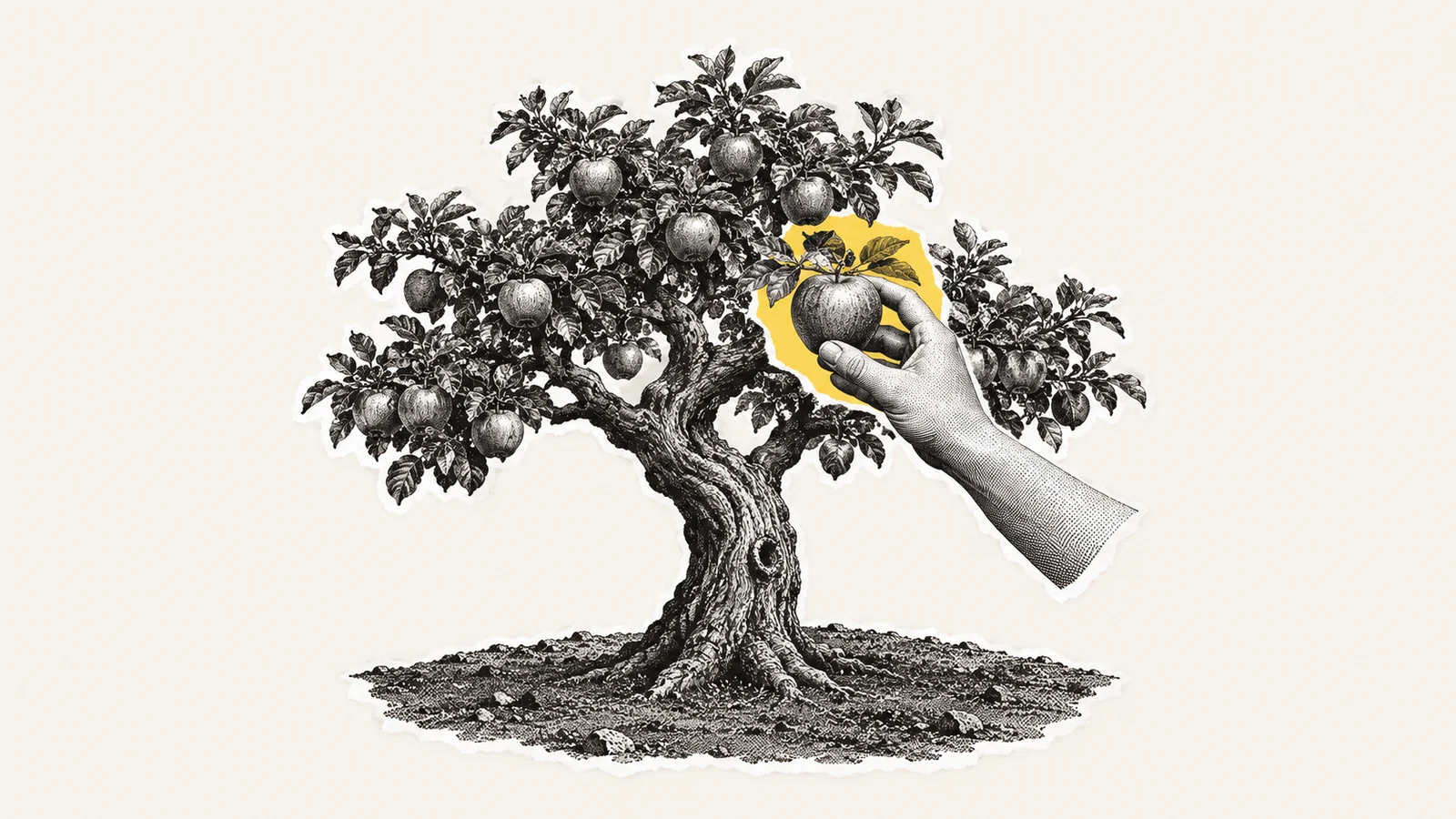 Een hand die appels plukt van een boom waaronder geen nieuwe boompjes groeien: oogsten zonder bij te planten.